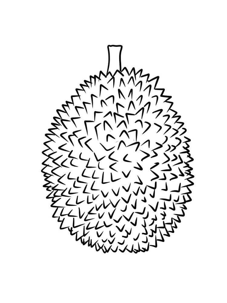 Dibujos de Durian Simple para colorear