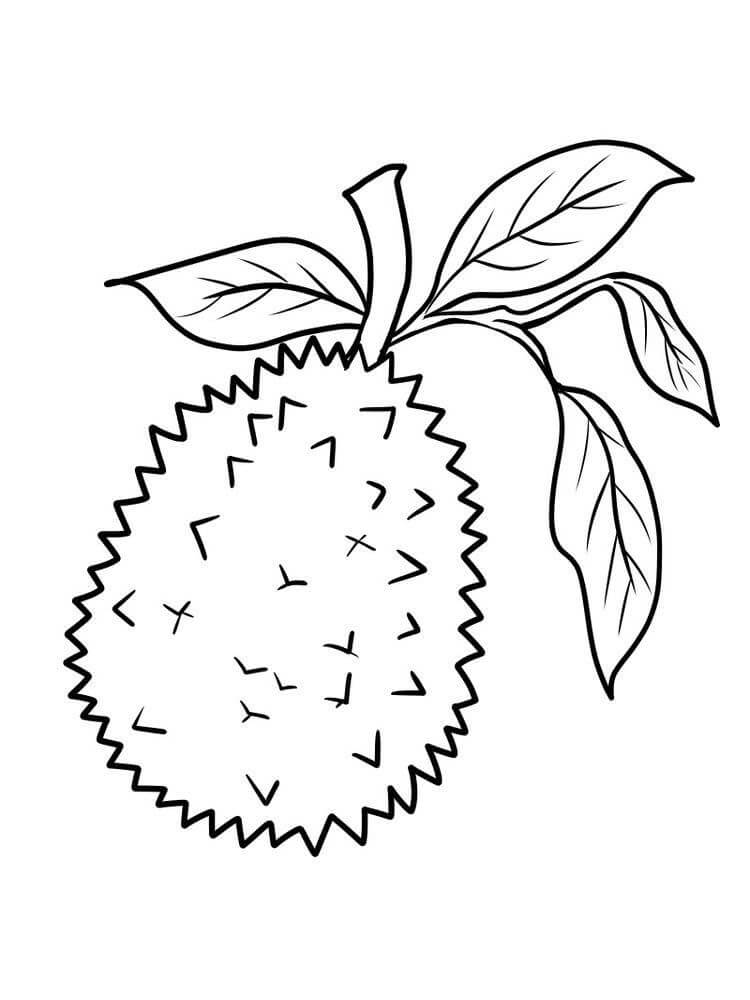 Dibujos de Durian con Hoja para colorear