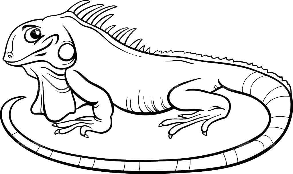 Dibujos de El dragón Sudamericano se Ríe para colorear