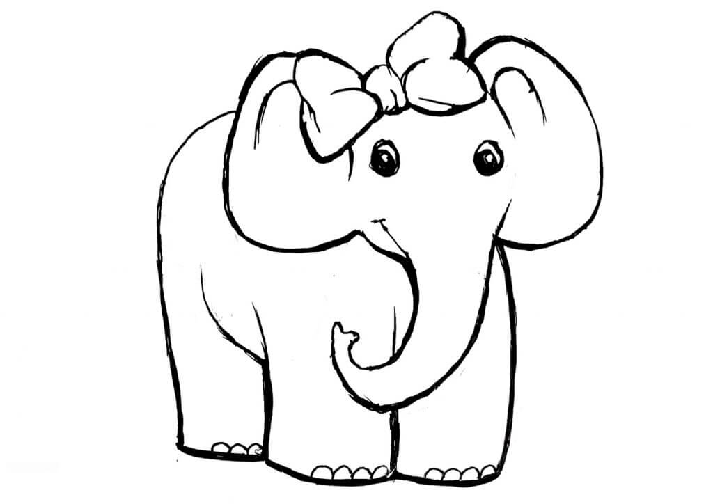 Dibujos de Elefante Hembra para colorear