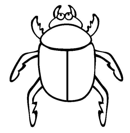 Escarabajos para colorir