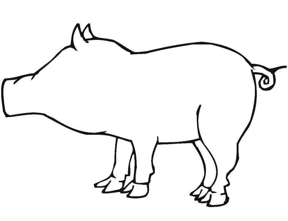 Dibujos de Esquema de Cerdo para colorear