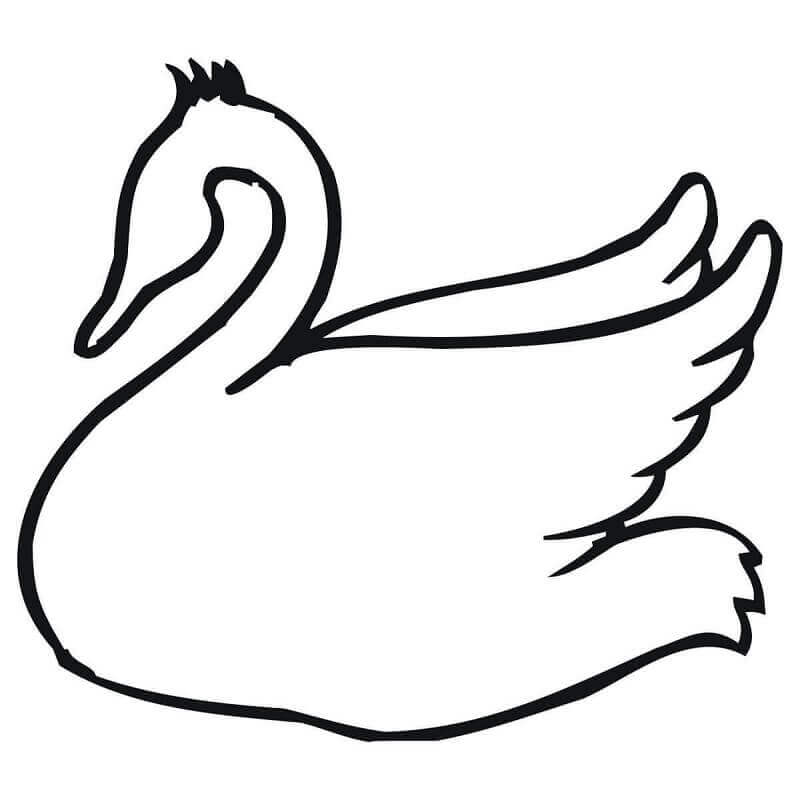 Dibujos de Esquema de Cisne para colorear