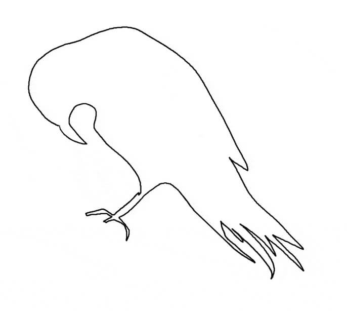 Esquema de Cuervo para colorir