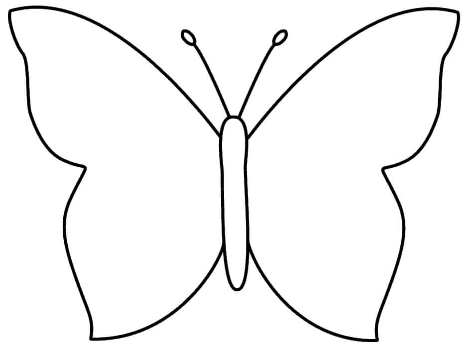 Dibujos de Esquema de Mariposa para colorear