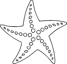 Dibujos de Estrella de Mar Simple para colorear