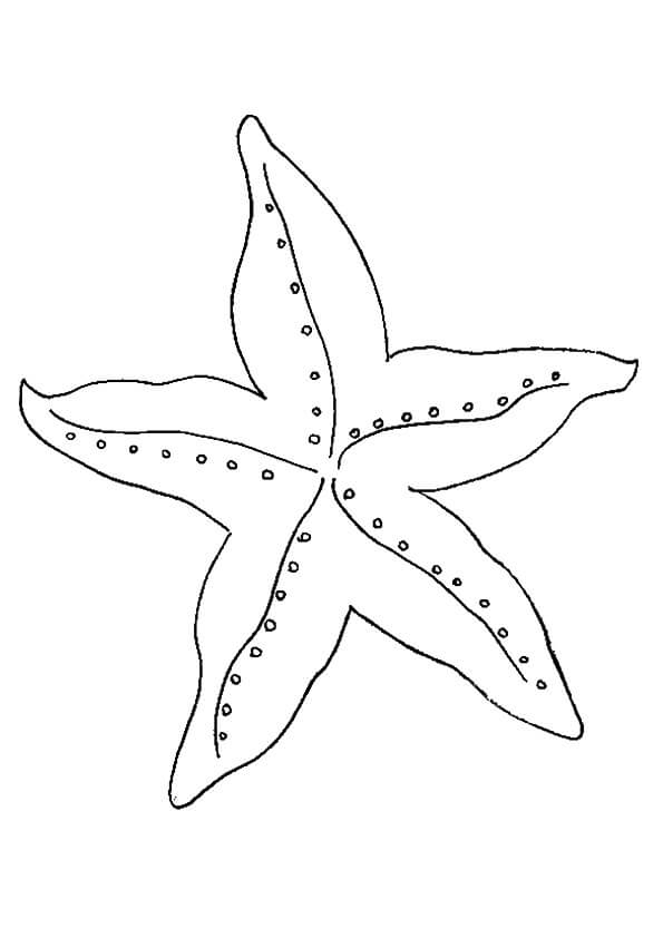Estrella de mar Básica para colorir