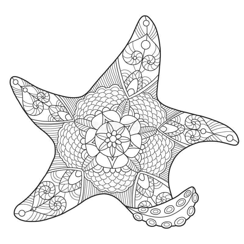 Estrella de mar Dura para colorir