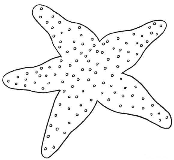 Dibujos de Estrella de mar Normal para colorear