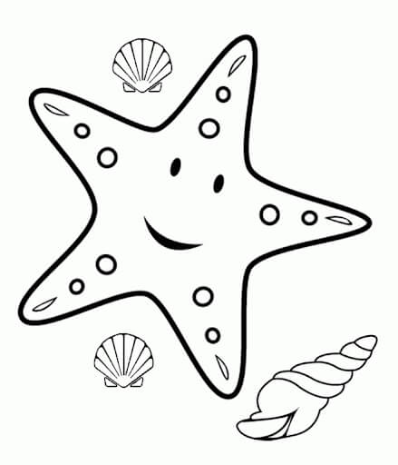 Dibujos de Estrellas de Mar y Caracoles Marinos, Conchas Marinas para colorear