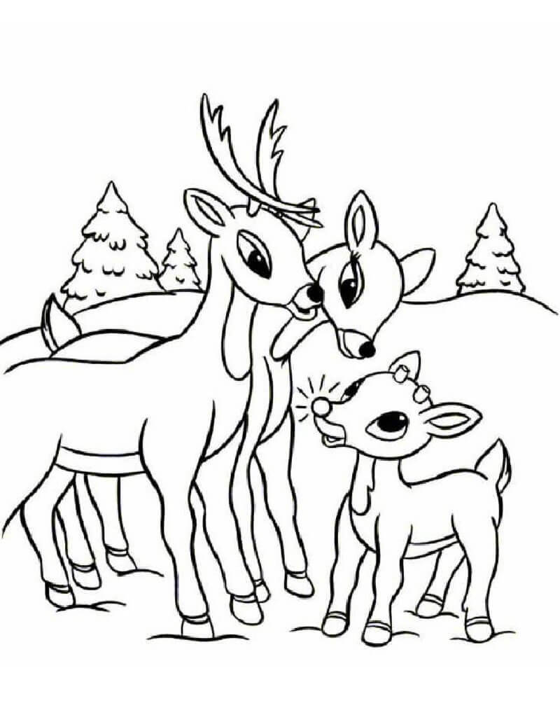 Familia Rudolph para colorir