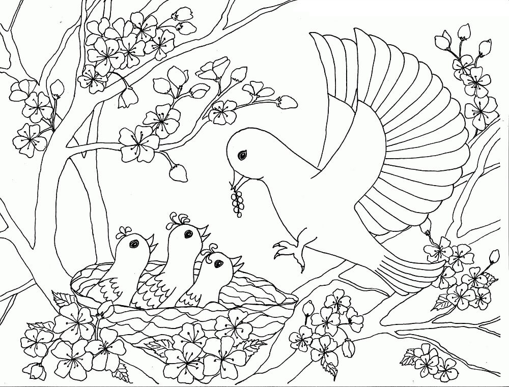 Dibujos de Familia de Aves en el Árbol de los Cerezos en Flor para colorear