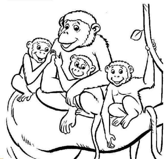 Dibujos de Familia de Simios para colorear
