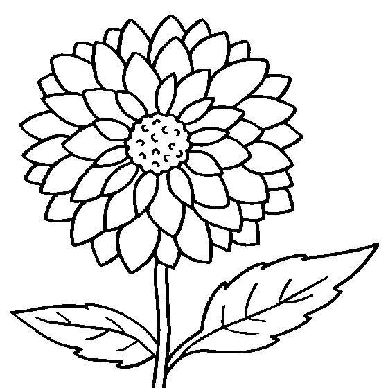Dibujos de Flor Imprimible para colorear