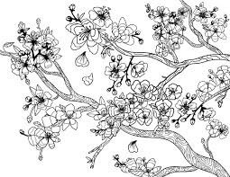 Dibujos de Flor de Cerezo Adulto para colorear