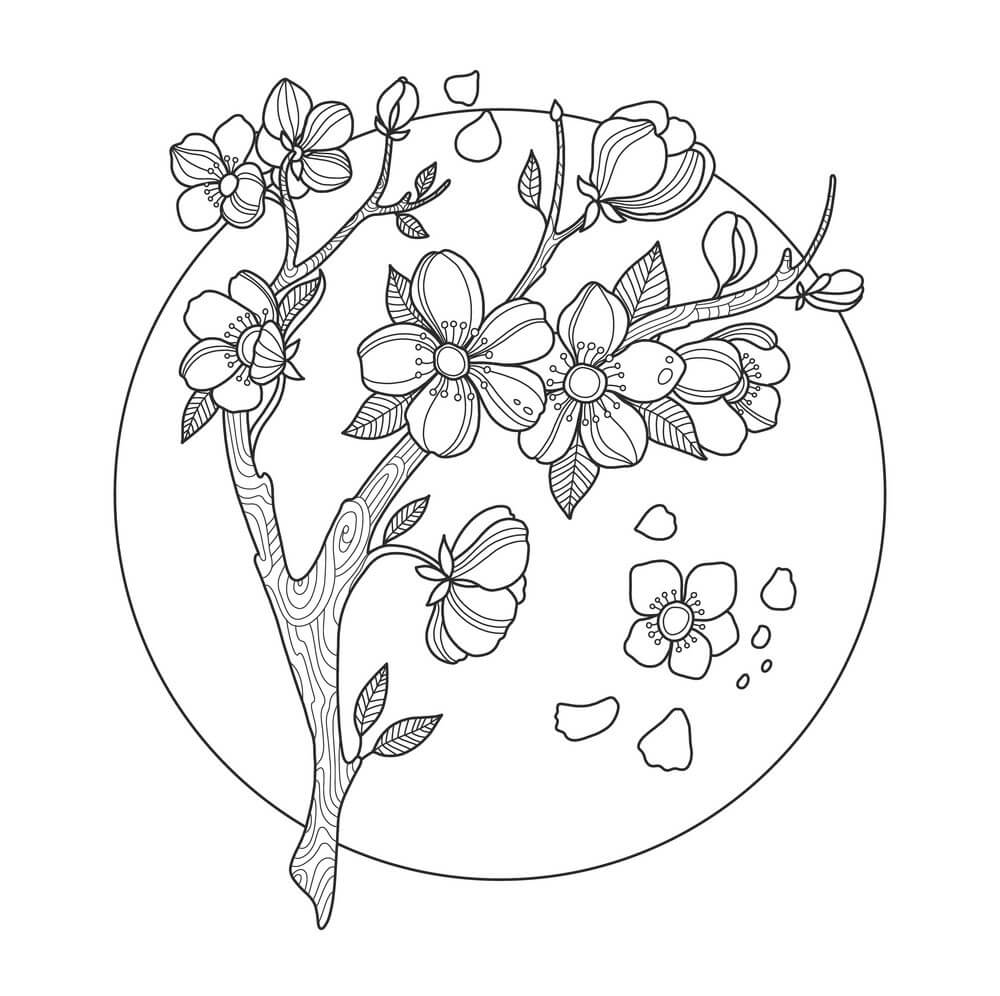 Dibujos de Flor de Cerezo en Círculo para colorear