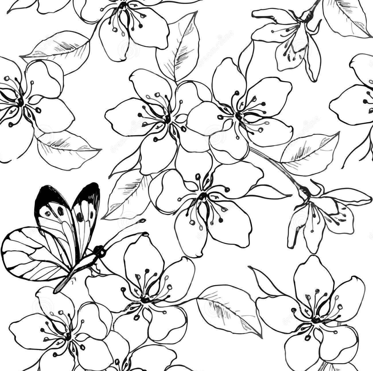 Dibujos de Flor de Cerezo y Mariposa para colorear