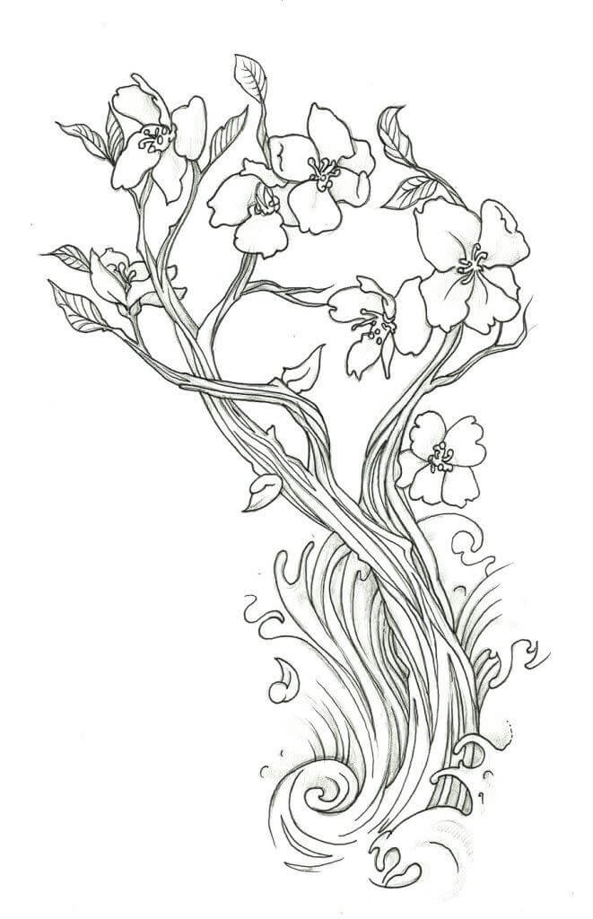 Dibujos de Flor de Cerezo para colorear