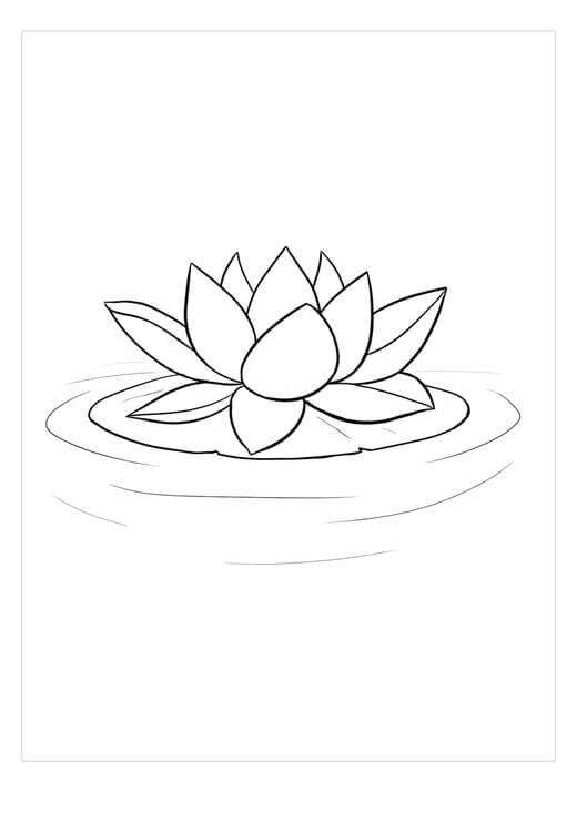 Flor de Loto Zen para colorir