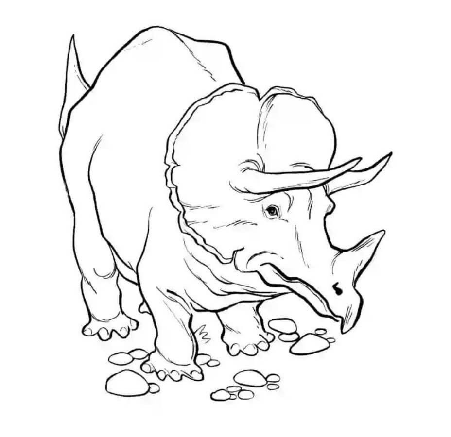 Dibujos de Fotos Gratis de Triceratops para colorear
