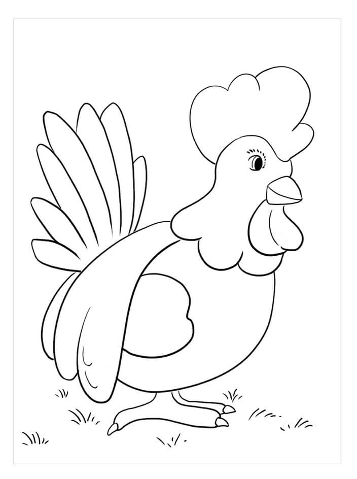 Dibujos de Gallo Libre para colorear