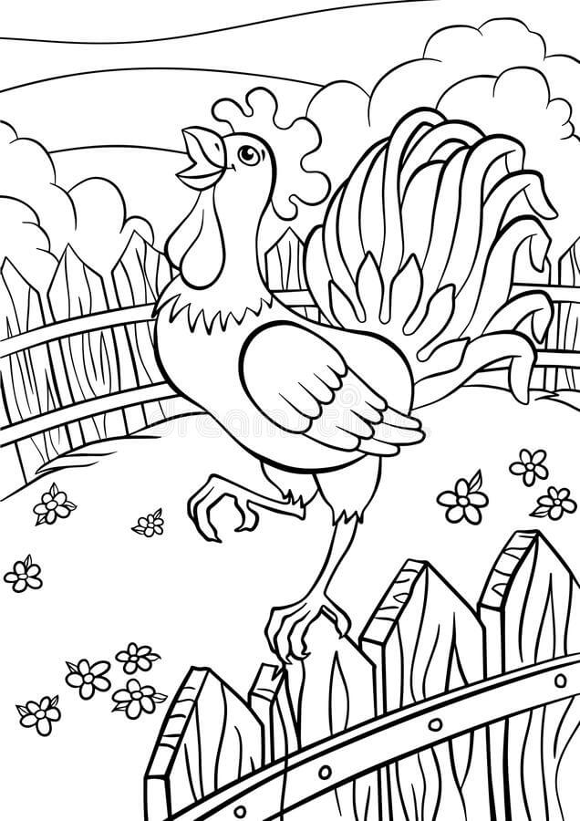 Dibujos de Gallo en Granja para colorear