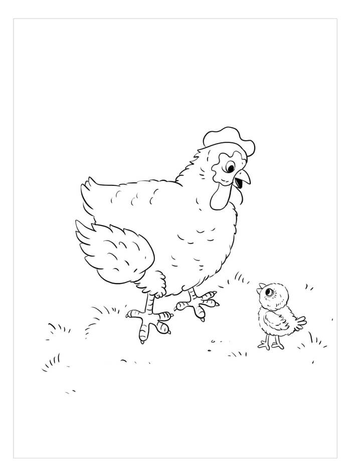 Dibujos de Gallo y Pollito para colorear