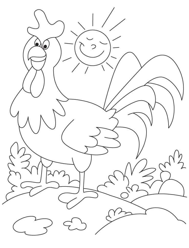 Dibujos de Gallo y Sol para colorear