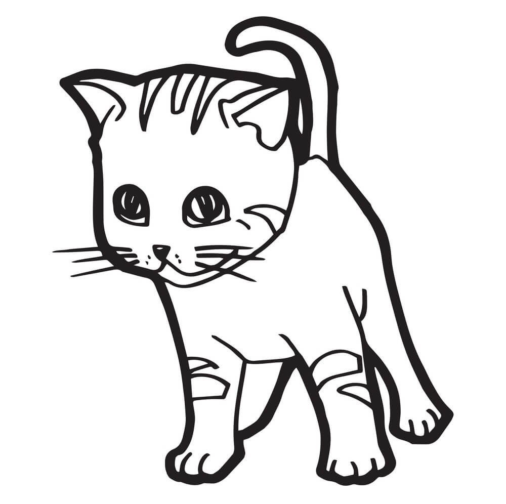 Gatito Dibujo para colorir