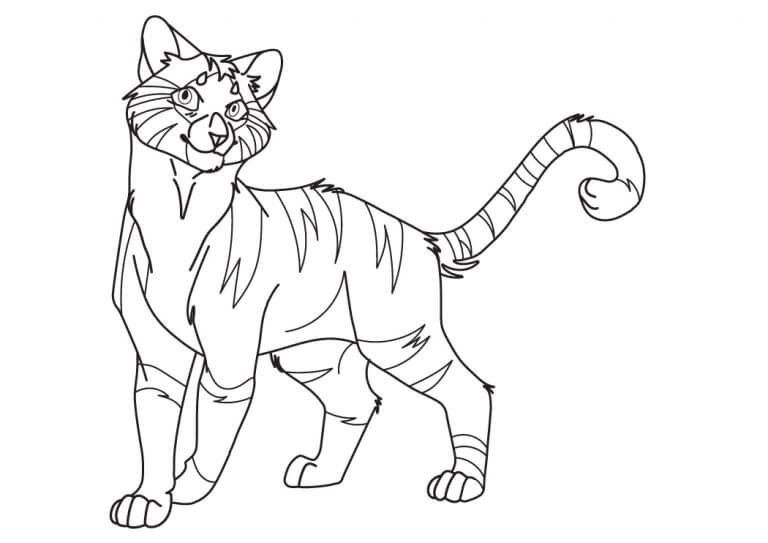 Gato Guerrero Imprimible para colorir