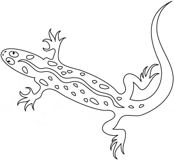 Gecko Imprimible para colorir