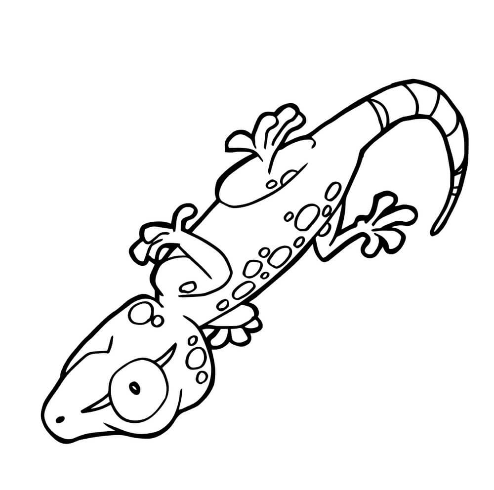 Gecko Lindo de Dibujos Animados para colorir