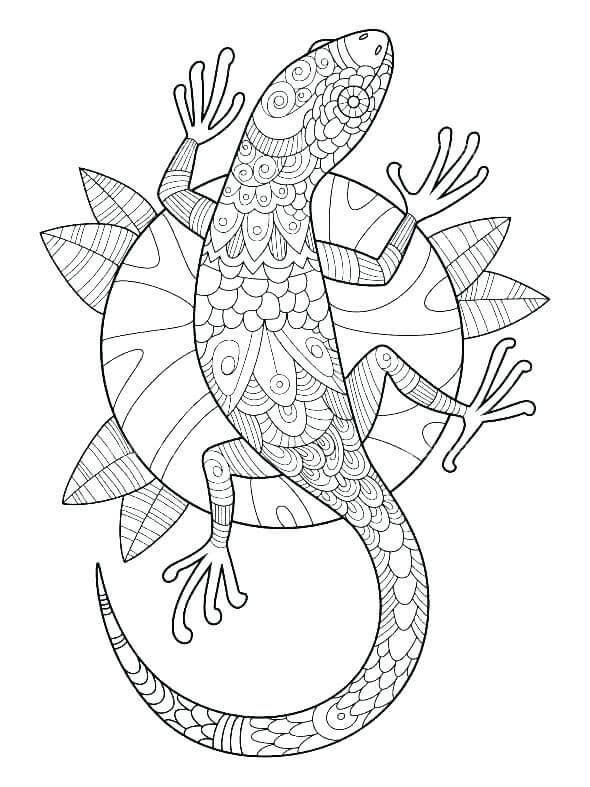 Dibujos de Gecko es para Adultos para colorear