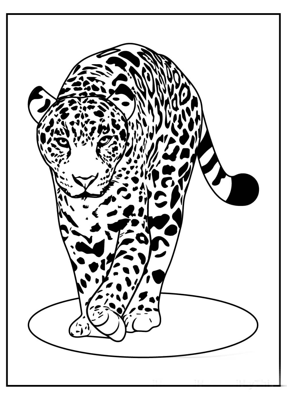 Genial Leopardo Caminando para colorir