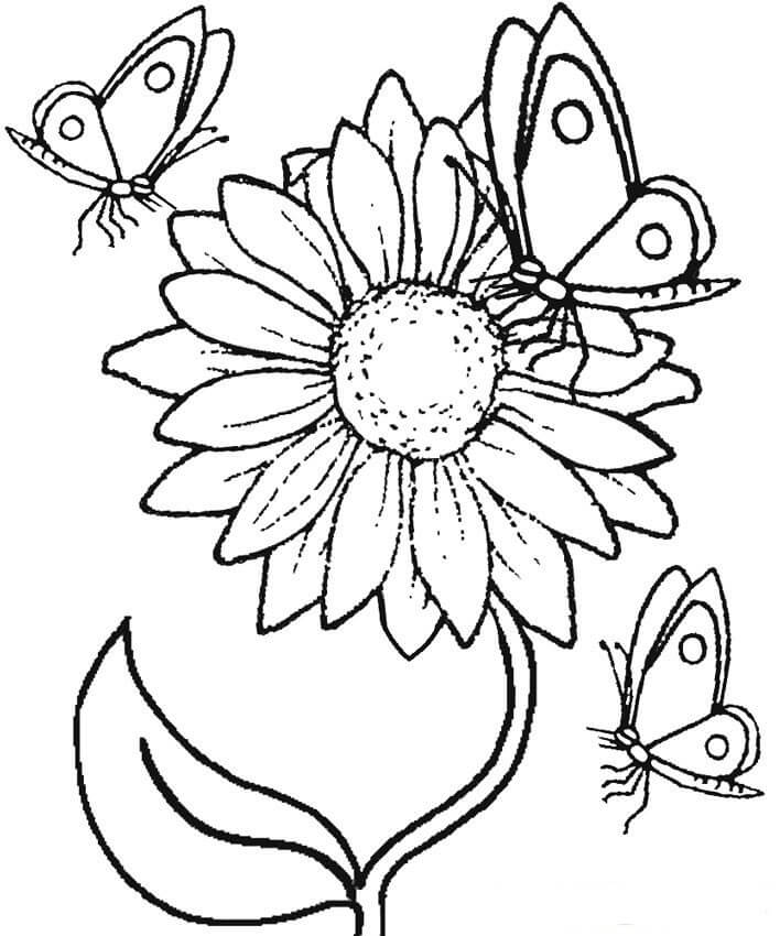 Dibujos de Girasol y Mariposa para colorear