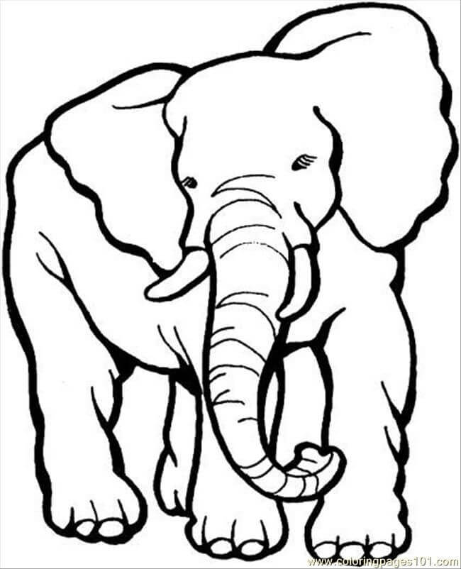 Dibujos de Gran Elefante para colorear