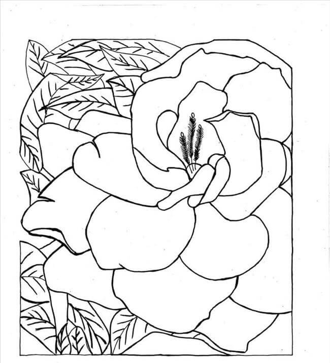 Dibujos de Gran Gardenia para colorear