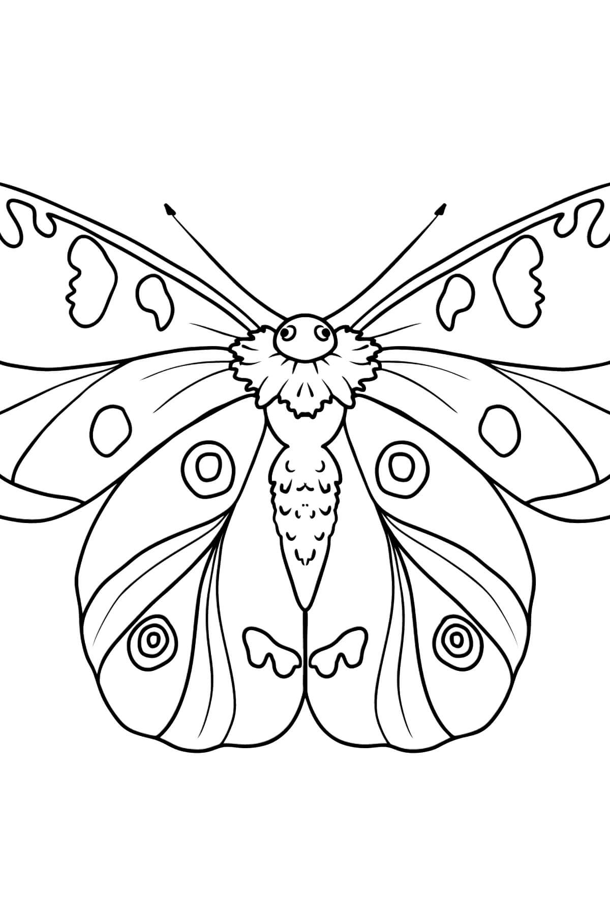 Dibujos de Gran Mariposa para colorear