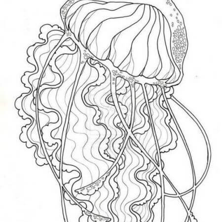 Dibujos de Gran Medusa para colorear