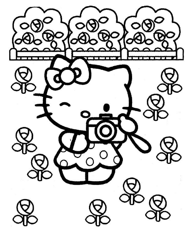 Dibujos de Hello Kitty tomando Fotos del Jardín de Flores para colorear