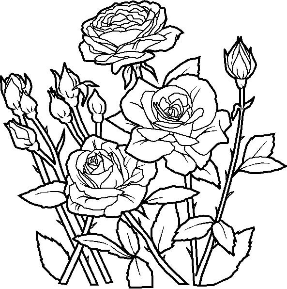 Dibujos de Hermosa Flor para colorear