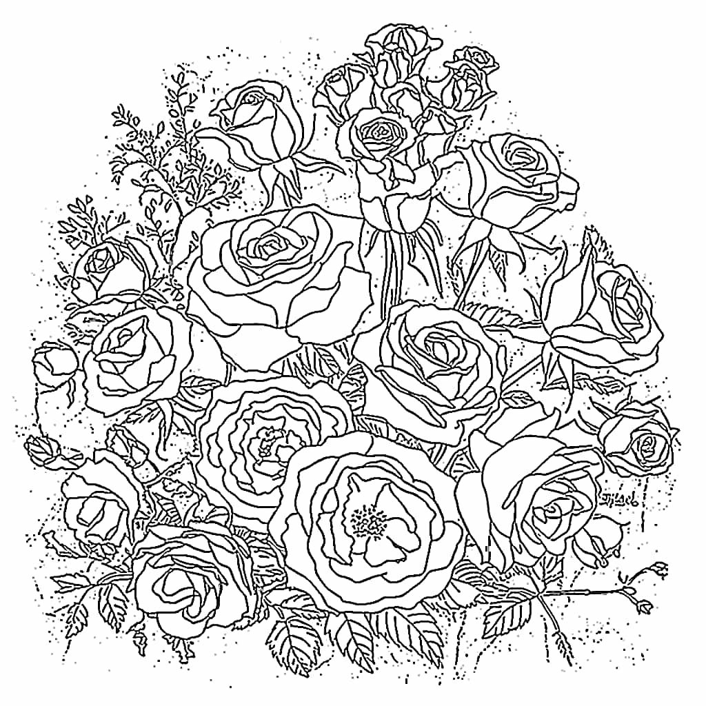 Hermoso ramo de rosas para colorir