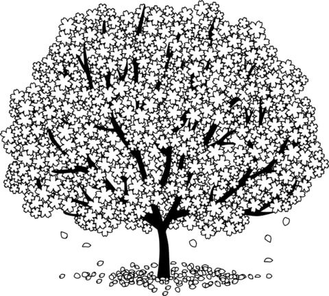 Dibujos de Hermoso árbol de Flor de Cerezo para colorear