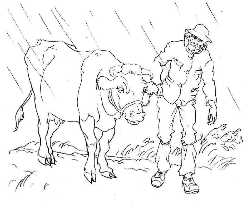 Dibujos de Hombre y Una Vaca para colorear