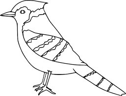 Dibujos de Impresionante Pájaro Jay para colorear