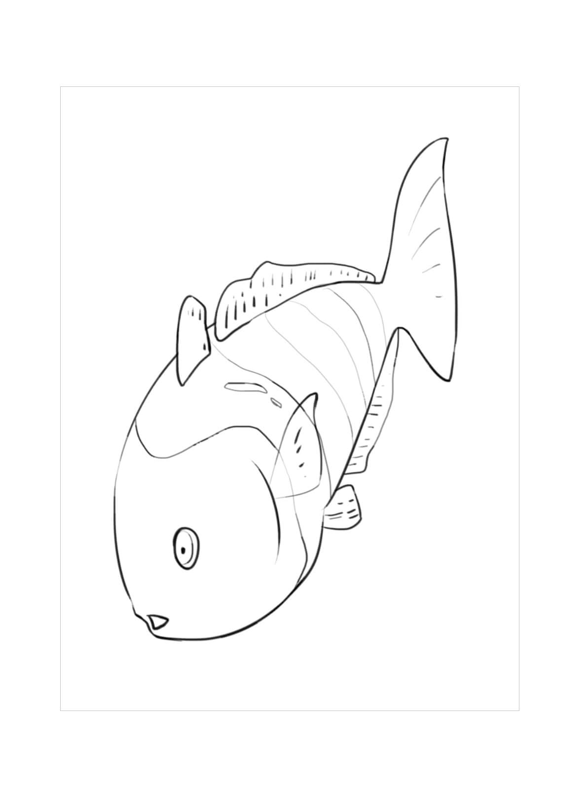 Dibujos de Impresionante pez Arcoiris para colorear