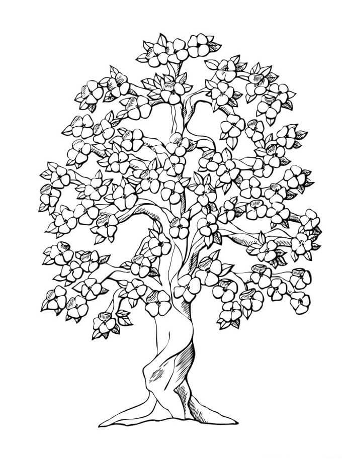 Dibujos de Impresionante árbol de Cerezos en Flor para colorear