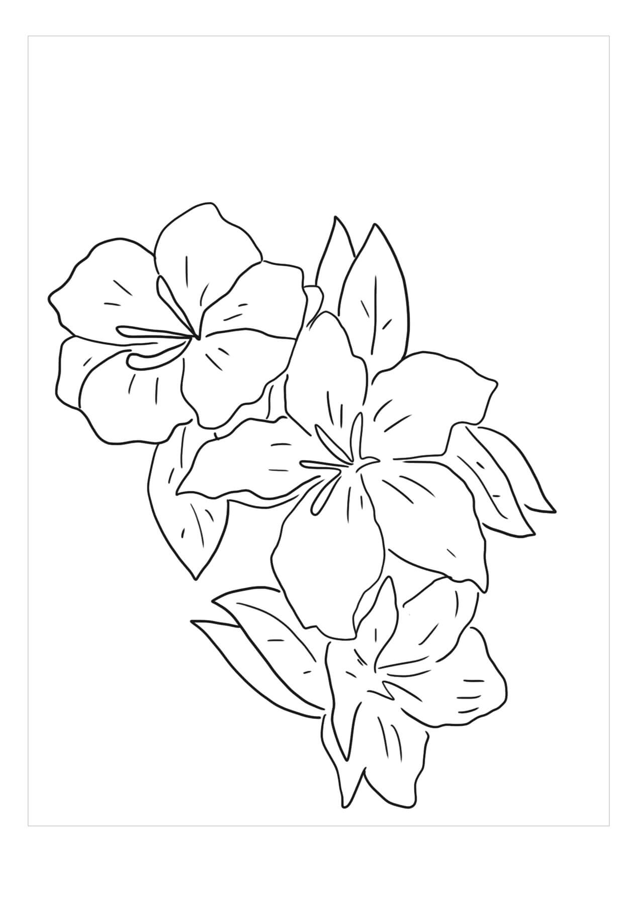 Increíble Gardenia para colorir