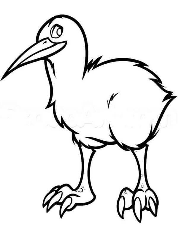 Increíble Pájaro Kiwi para colorir
