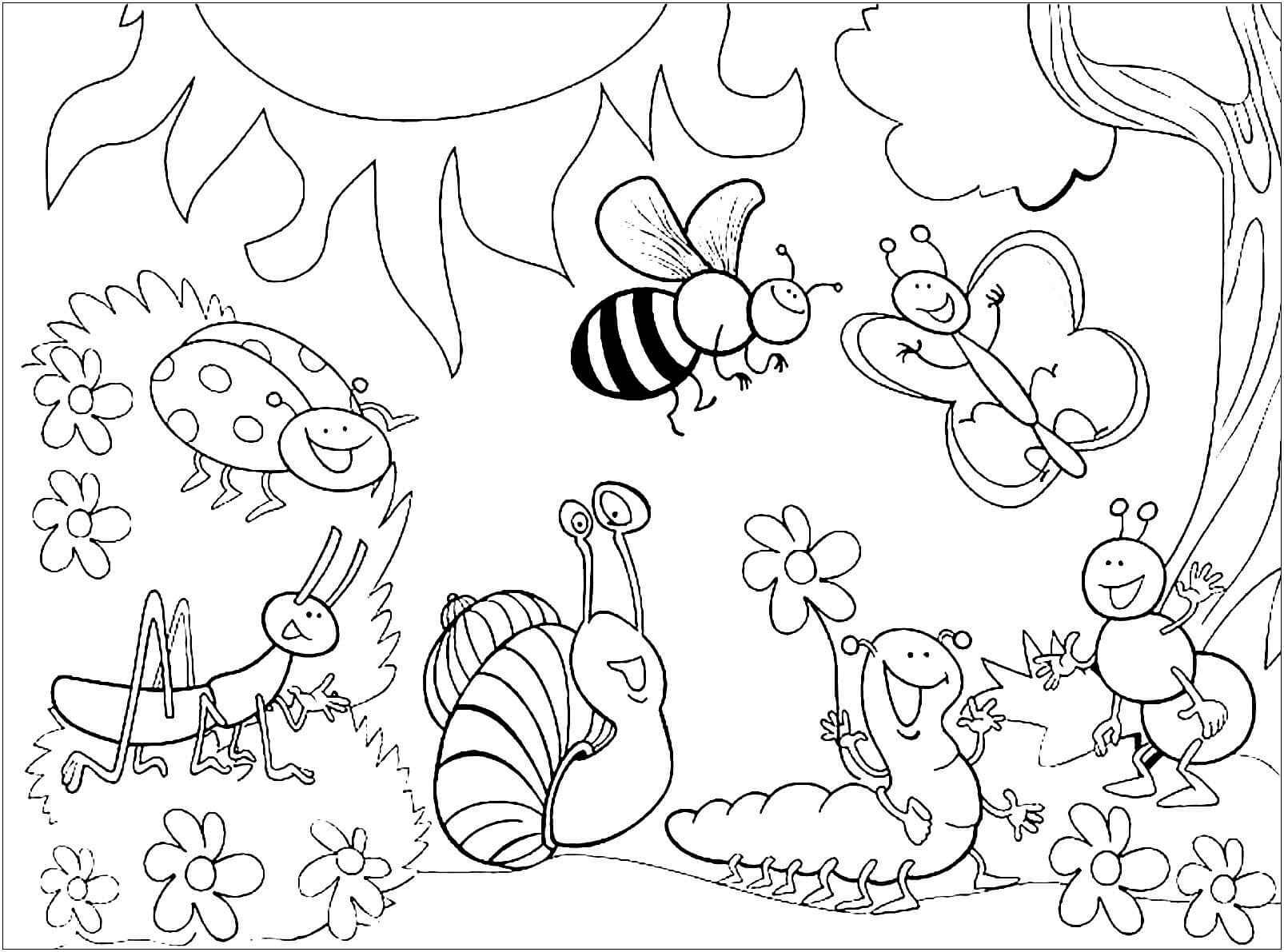 Dibujos de Insectos en la Jungla para colorear